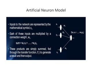 Artificial Neuron Model
 