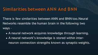 Similarities between ANN And BNN
There is few similarities between ANN and BNN too.Neural
Networks resemble the human brain in the following two
ways –
A neural network acquires knowledge through learning.
A neural network’s knowledge is stored within inter-
neuron connection strengths known as synaptic weights.
 