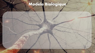 Modèle Biologique
6
 