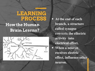 LEARNING
PROCESS At the end of each
branch, a structure
called synapse
converts the ellectric
activity  into
electrical effect.
When a neuron
receives electric
effect, influence other
neuron.
How the Human
Brain Learns?
 