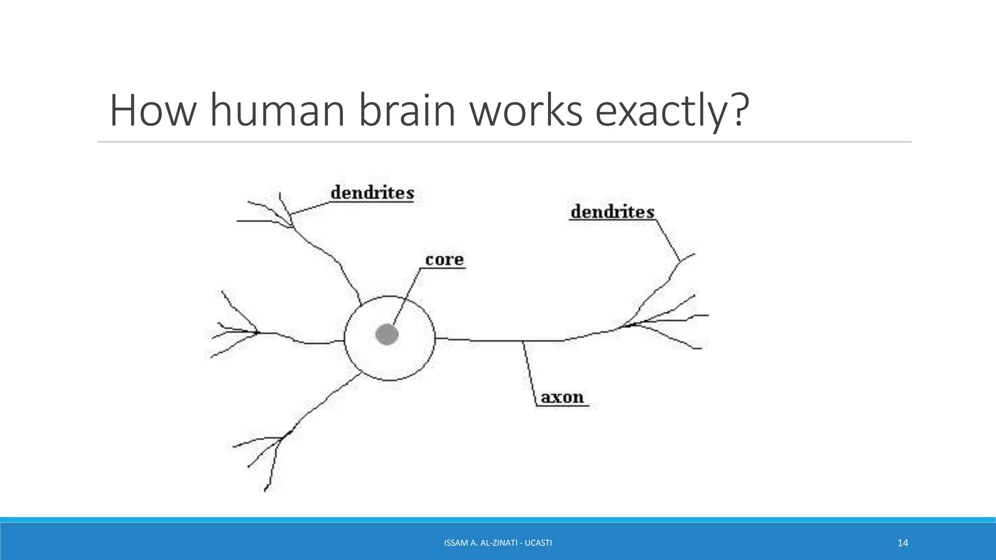 How human brain works exactly?
ISSAM A. AL-ZINATI - UCASTI 14
 