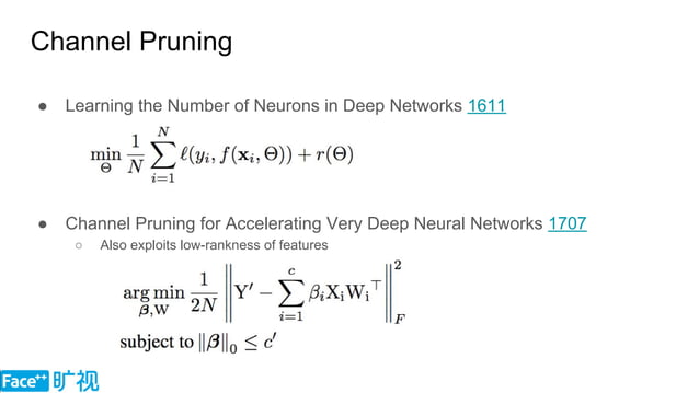 Neural Network Approximation.pdf