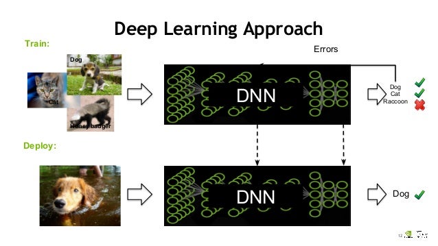 NVIDIA 深度學習教育機構 (DLI): Neural network deployment