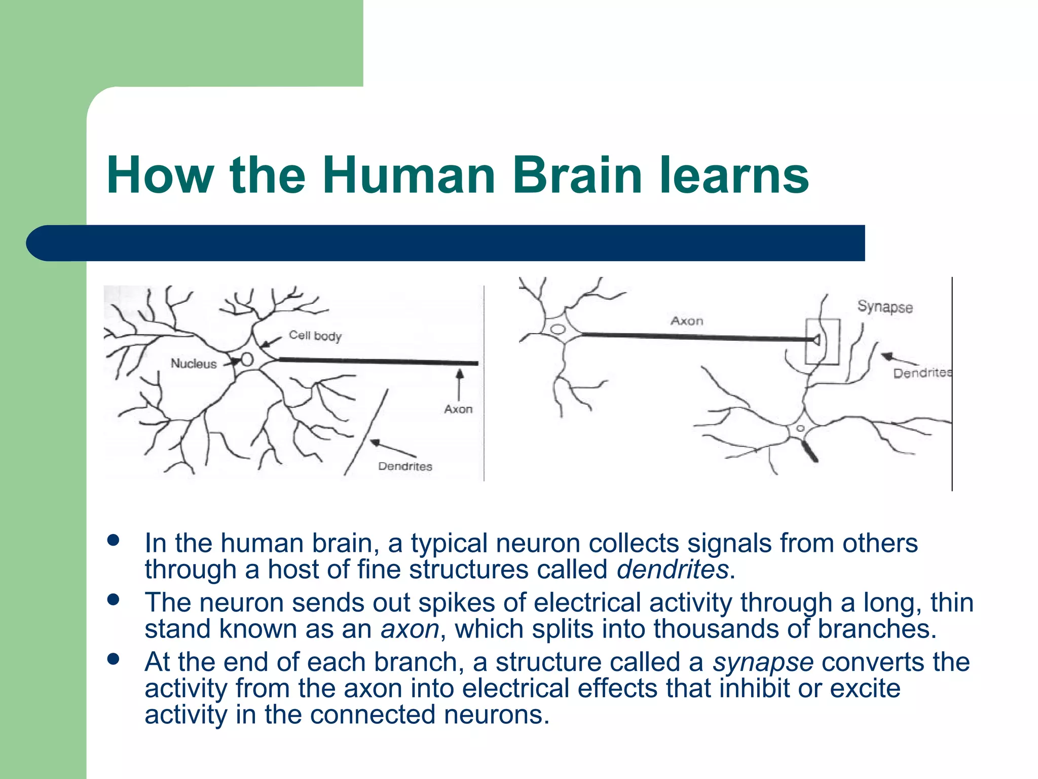 How the Human Brain learns
 In the human brain, a typical neuron collects signals from others
through a host of fine structures called dendrites.
 The neuron sends out spikes of electrical activity through a long, thin
stand known as an axon, which splits into thousands of branches.
 At the end of each branch, a structure called a synapse converts the
activity from the axon into electrical effects that inhibit or excite
activity in the connected neurons.
 