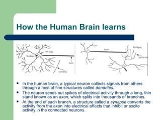 How the Human Brain learns
 In the human brain, a typical neuron collects signals from others
through a host of fine structures called dendrites.
 The neuron sends out spikes of electrical activity through a long, thin
stand known as an axon, which splits into thousands of branches.
 At the end of each branch, a structure called a synapse converts the
activity from the axon into electrical effects that inhibit or excite
activity in the connected neurons.
 