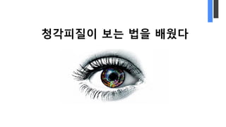 청각피질이 보는 법을 배웠다
 