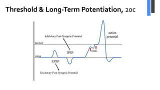 Threshold & Long-Term Potentiation, 20c
 