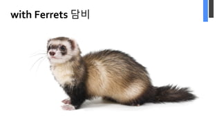 with Ferrets 담비
 