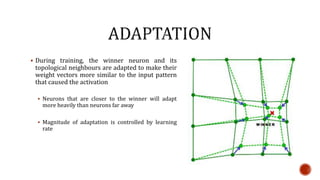  During training, the winner neuron and its
topological neighbours are adapted to make their
weight vectors more similar to the input pattern
that caused the activation
 Neurons that are closer to the winner will adapt
more heavily than neurons far away
 Magnitude of adaptation is controlled by learning
rate
 