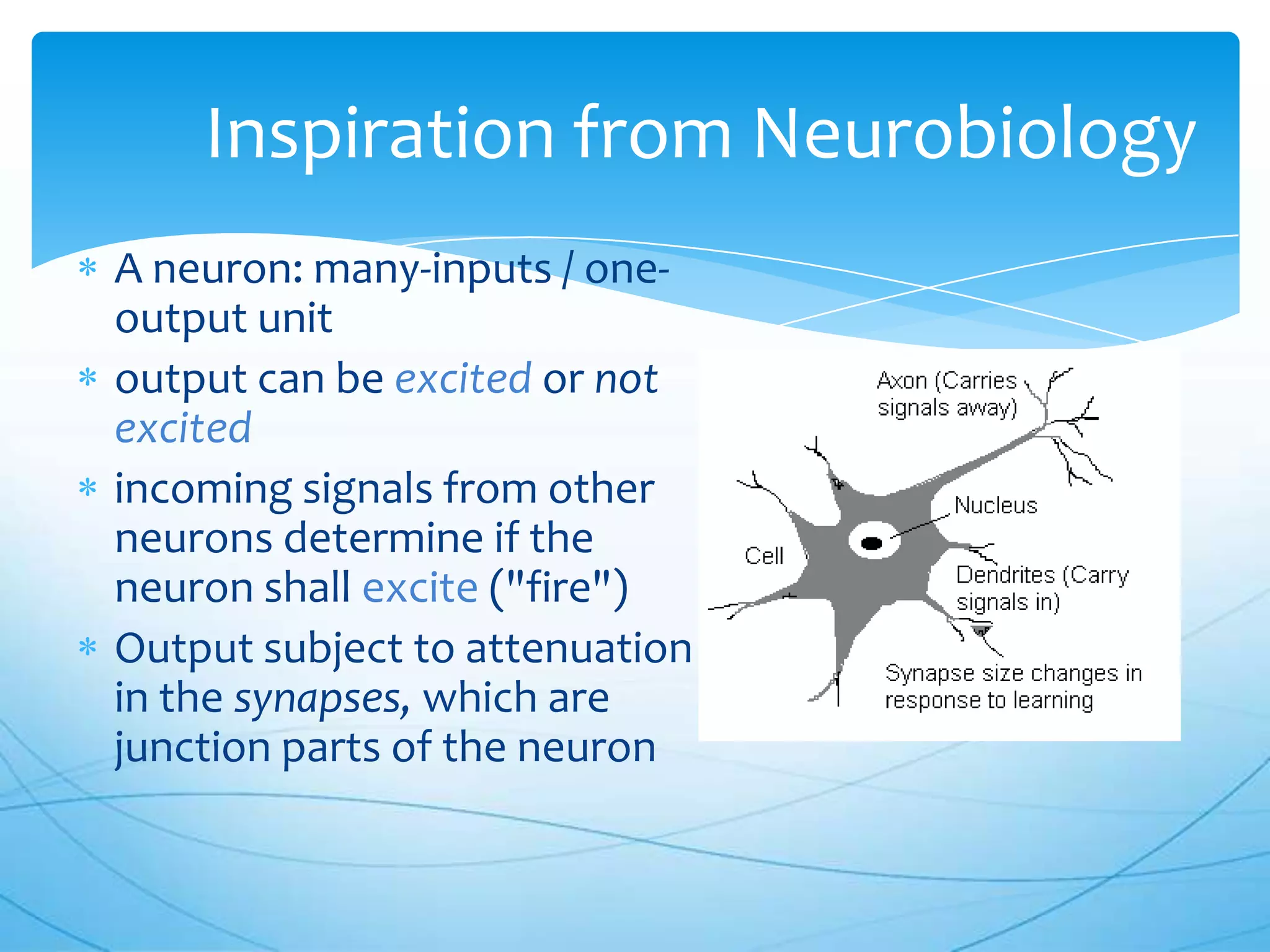 Inspiration from Neurobiology
A neuron: many-inputs / one-
output unit
output can be excited or not
excited
incoming signals from other
neurons determine if the
neuron shall excite ("fire")
Output subject to attenuation
in the synapses, which are
junction parts of the neuron
 