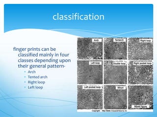 classification


finger prints can be
   classified mainly in four
   classes depending upon
   their general pattern-
       Arch
       Tented arch
       Right loop
       Left loop
 