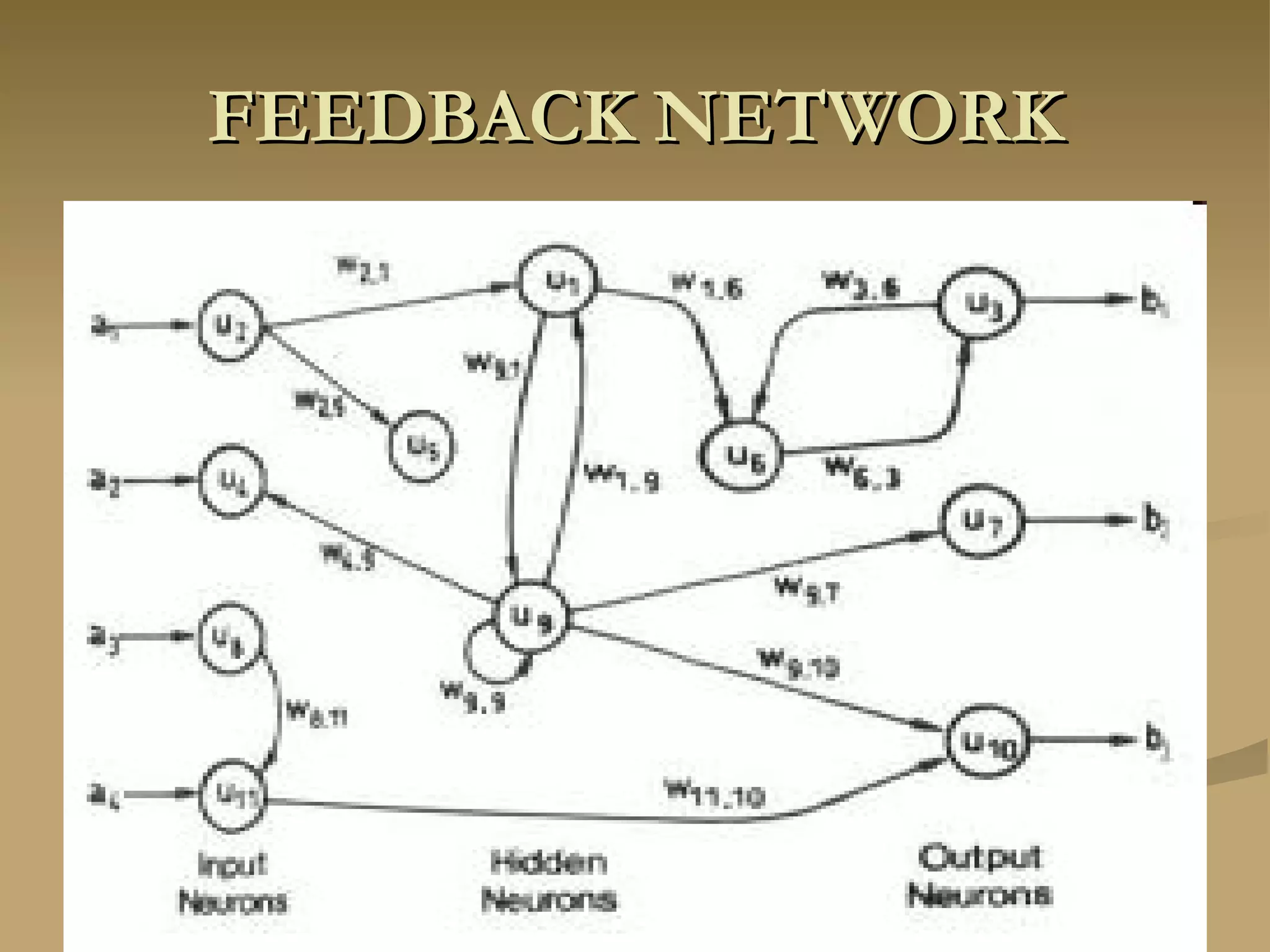 FEEDBACK NETWORK 