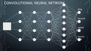 CONVOLUTIONAL NEURAL NETWORK
dog
bicycle
apple
tennis
ball
 