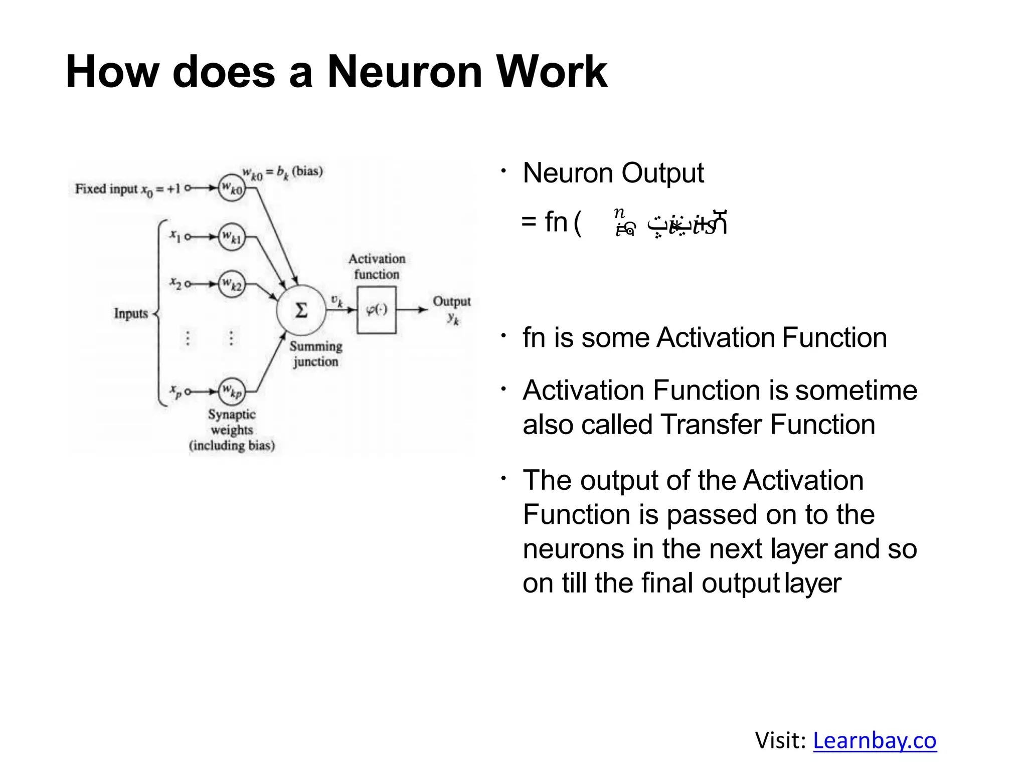 How does a Neuron Work
Neuron Output
𝑛
𝑖=ଵ= fn ( ‫𝑖ݓ‬∗‫ݔ‬ 𝑖+𝑠ሻ
fn is some Activation Function
Activation Function is sometime
also called Transfer Function
The output of the Activation
Function is passed on to the
neurons in the next layer and so
on till the final outputlayer
Visit: Learnbay.co
 