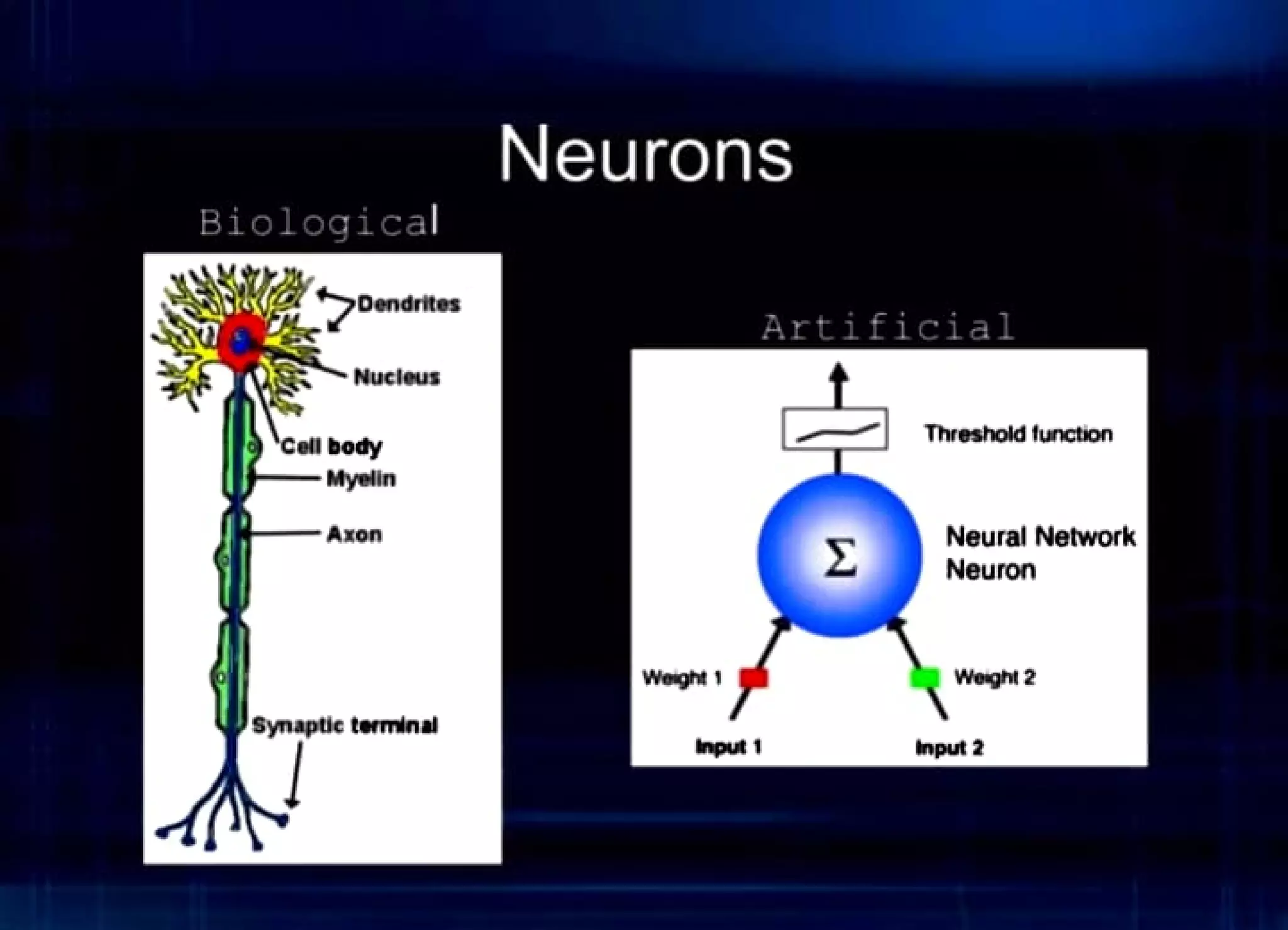Nucleu1
Cell llody
Mylllln
11--Axon
lynap(lc teminll
1
Neurons
Threshold luoclion
Neural Network
Neuron
 