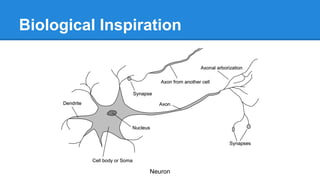 Biological Inspiration

Neuron

 