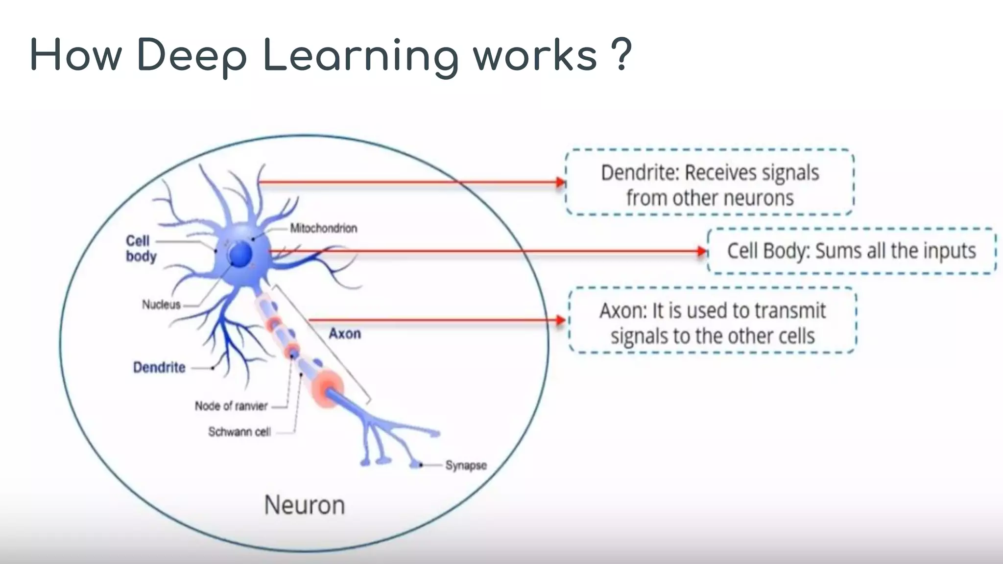 How Deep Learning works ?
 