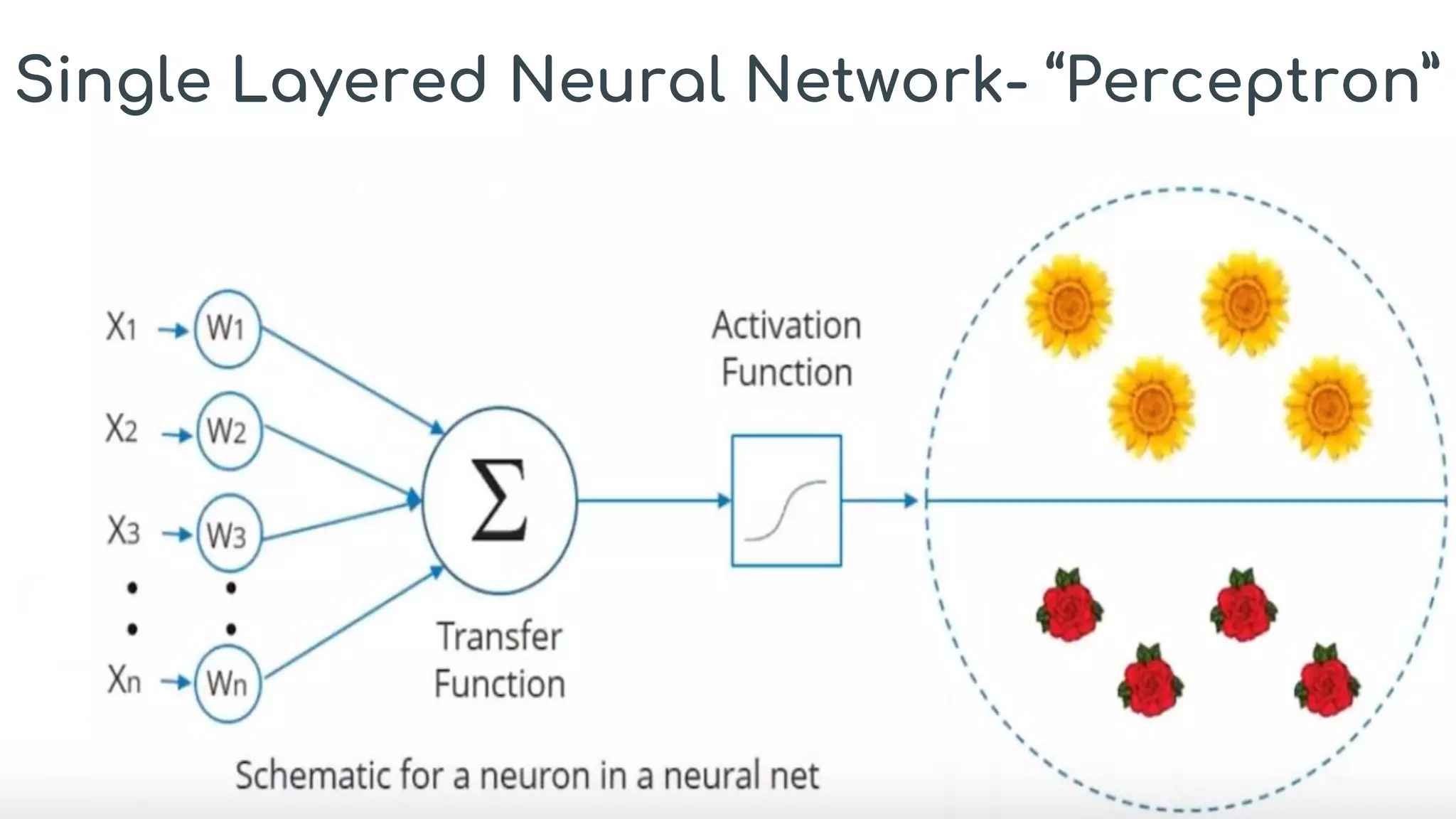 Single Layered Neural Network- “Perceptron”
 