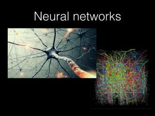 Neural networks in the brain | PDF