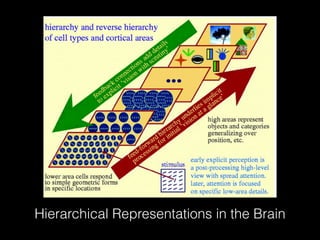Hierarchical Representations in the Brain
 