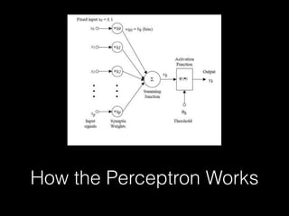 How the Perceptron Works
 
