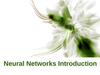 Neural Networks Introduction
 