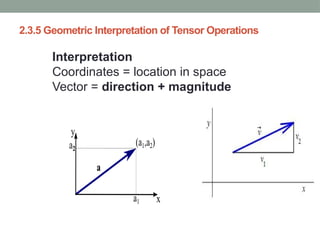Understanding Deep Learning: Tensor Operations in Neural Networks | PPTX