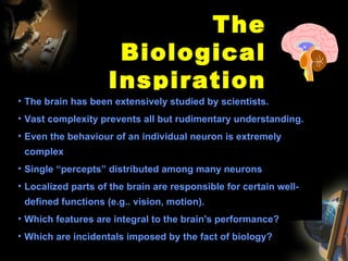 The Biological Inspiration The brain has been extensively studied by scientists. Vast complexity prevents all but rudimentary understanding. Even the behaviour of an individual neuron is extremely complex Single “percepts” distributed among many neurons  Localized parts of the brain are responsible for certain well-defined functions (e.g.. vision, motion). Which features are integral to the brain's performance? Which are incidentals imposed by the fact of biology? 