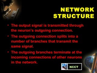 NETWORK STRUCTURE The output signal is transmitted through the neuron’s outgoing connection.  The outgoing connection splits into a number of branches that transmit the same signal.  The outgoing branches terminate at the incoming connections of other neurons in the network.   NCCT 