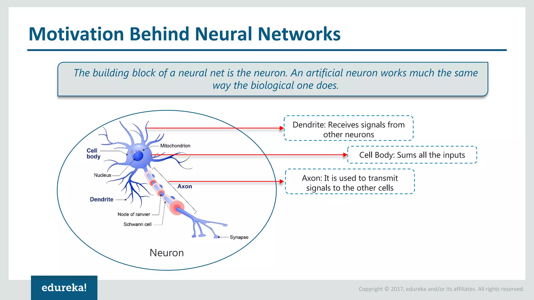 Copyright © 2017, edureka and/or its affiliates. All rights reserved. Motivation Behind Neural Networks Neuron Dendrite: Receives signals from other neurons Cell Body: Sums all the inputs Axon: It is used to transmit signals to the other cells The building block of a neural net is the neuron. An artificial neuron works much the same way the biological one does. 