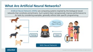Copyright © 2017, edureka and/or its affiliates. All rights reserved.
What Are Artificial Neural Networks?
Artificial Neural Networks (ANNs) are computing systems inspired by the biological neural
networks that constitute animal brains. Such systems learn (progressively improve performance) to
do tasks by considering examples, generally without task-specific programming.
Training
There is one
dog in this pic
Input
With Neural Network
 
