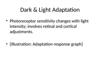 Photoreception Adaptation Neural_Physiology_of_Eye ppt………………………….. | PPTX