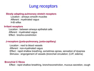 Neural Regulation of breathing 2023.pptx