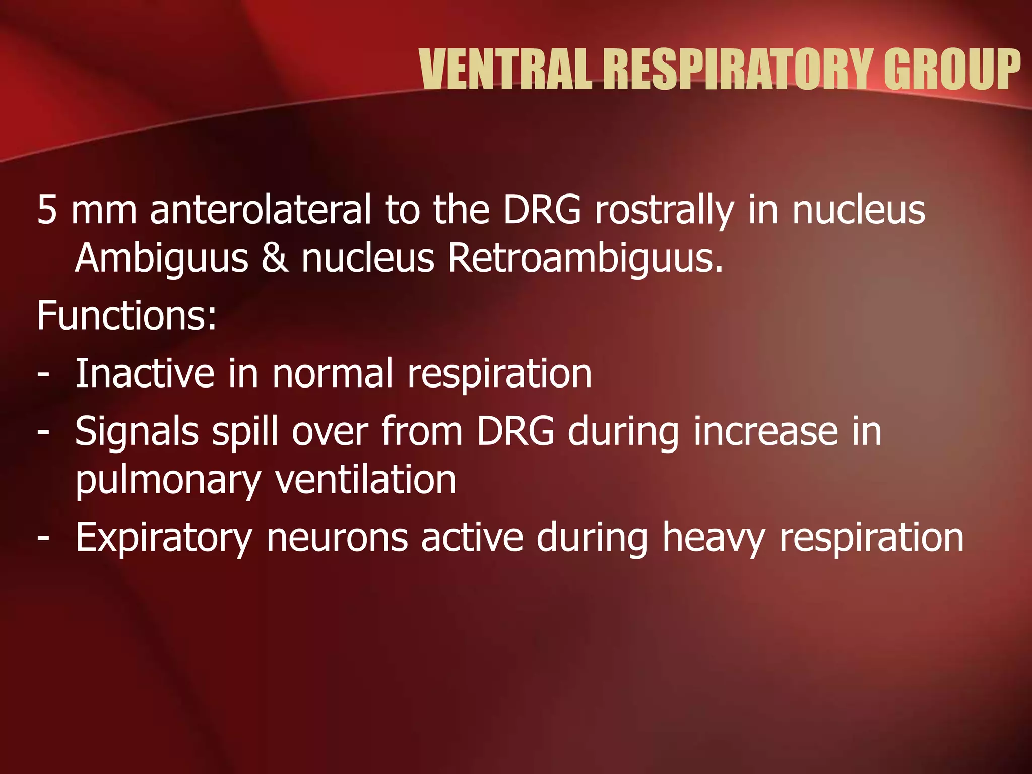 VENTRAL RESPIRATORY GROUP
5 mm anterolateral to the DRG rostrally in nucleus
Ambiguus & nucleus Retroambiguus.
Functions:
- Inactive in normal respiration
- Signals spill over from DRG during increase in
pulmonary ventilation
- Expiratory neurons active during heavy respiration
 