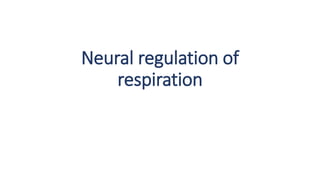 Neural regulation of
respiration
 