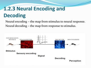 Neural signal processing by mustafa rasheed & zeena saadon & walaa ...