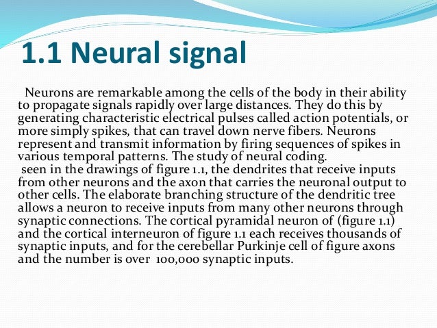 neural signal processing neural signal processing