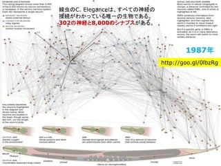 http://goo.gl/0lbzRg
線虫のC. Eleganceは、すべての神経の
接続がわかっている唯一の生物である。
302の神経と8,000のシナプスがある。
1987年
 