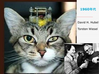 David H. Hubel
Torsten Wiesel
1960年代
 