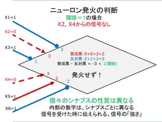 賛成票：0+0+2=2
反対票：2+1+2=5
賛成票 - 反対票 = -3 < 1(閾値)
発火せず！
ニューロン発火の判断
閾値＝１の場合
X2, X4からの信号なし
X1=1
X2=0
X3=1
X4=0
X5=1
X6=1
2
3
1
3
2
2
個々のシナプスの性質は異なる
内部の数字は、シナプスごとに異なる
信号を受けた時に伝えられる、信号の「強さ」
 