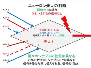 賛成票：3+3+0=6
反対票：2+0+2=4
賛成票 - 反対票 = 2 > 1(閾値)
発火！
ニューロン発火の判断
閾値＝１の場合
X3, X5からの信号なし
X1=1
X2=１
X3=０
X4=１
X5=０
X6=1
2
3
1
3
2
2
個々のシナプスの性質は異なる
内部の数字は、シナプスごとに異なる
信号を受けた時に伝えられる、信号の「強さ」
 