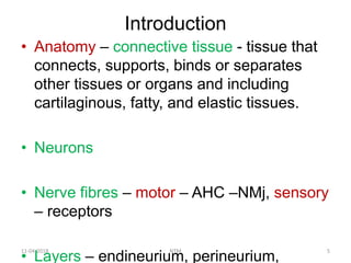 Introduction
• Anatomy – connective tissue - tissue that
connects, supports, binds or separates
other tissues or organs and including
cartilaginous, fatty, and elastic tissues.
• Neurons
• Nerve fibres – motor – AHC –NMj, sensory
– receptors
• Layers – endineurium, perineurium,
11-04-2018 NTM 5
 