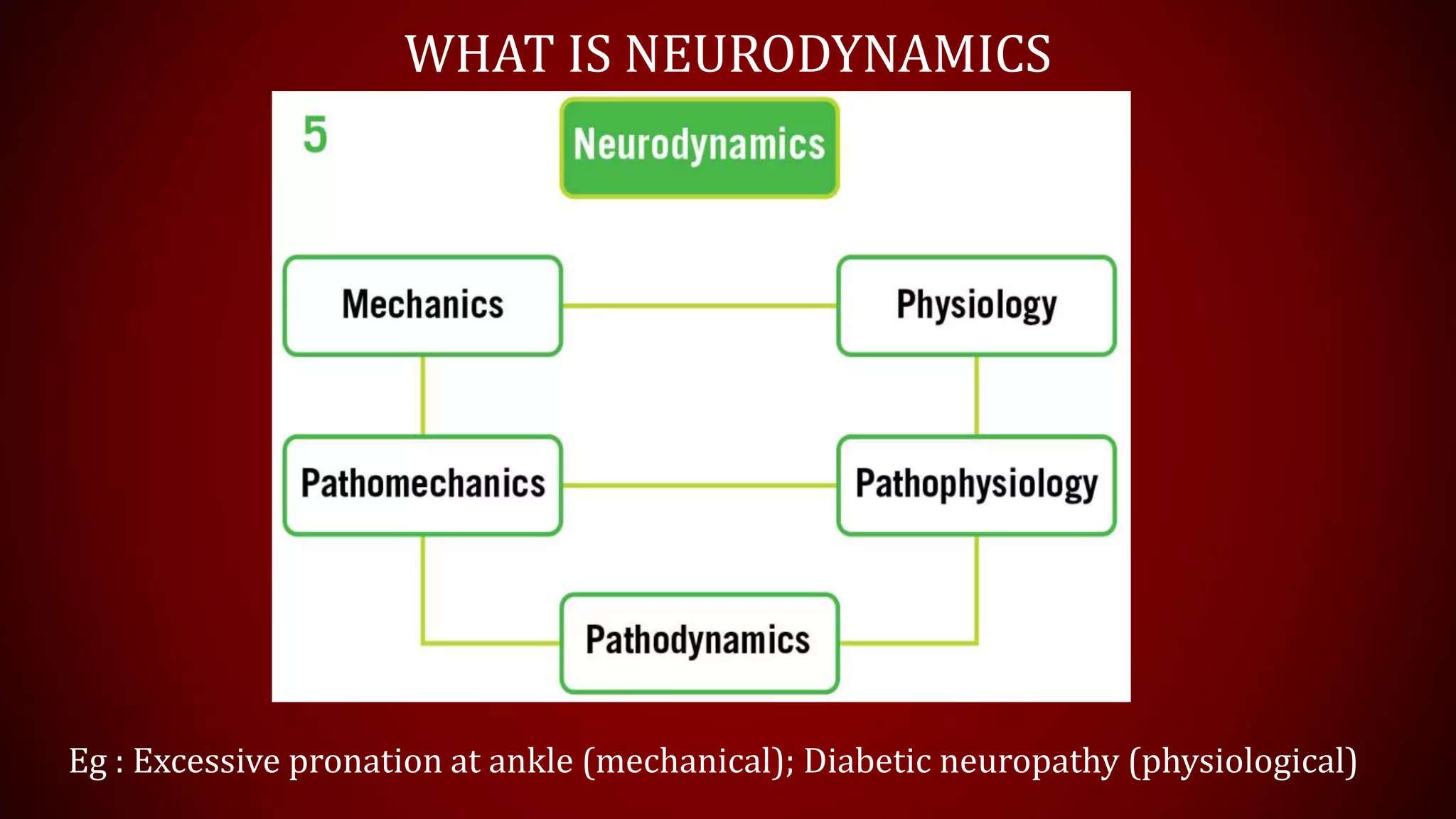 WHAT IS NEURODYNAMICS
Eg : Excessive pronation at ankle (mechanical); Diabetic neuropathy (physiological)
 