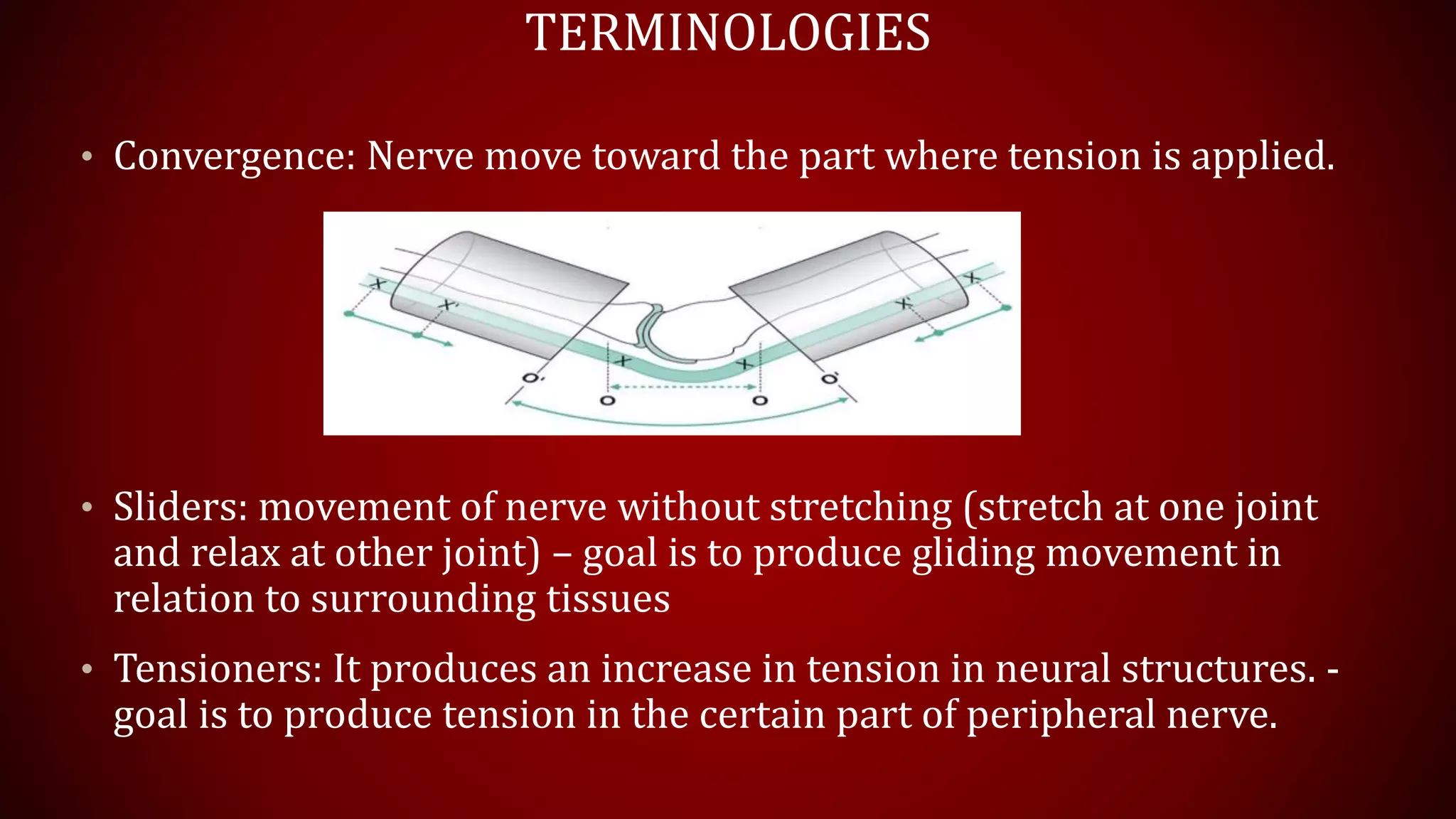 TERMINOLOGIES
• Convergence: Nerve move toward the part where tension is applied.
• Sliders: movement of nerve without stretching (stretch at one joint
and relax at other joint) – goal is to produce gliding movement in
relation to surrounding tissues
• Tensioners: It produces an increase in tension in neural structures. -
goal is to produce tension in the certain part of peripheral nerve.
 