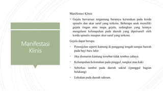 Manifestasi
Klinis
Manifestasi Klinis
 Gejala bervariasi tergantung beratnya kerusakan pada korda
spinalis dan akar saraf yang terkena. Beberapa anak memiliki
gejala ringan atau tanpa gejala, sedangkan yang lainnya
mengalami kelumpuhan pada daerah yang dipersarafi oleh
korda spinalis maupun akar saraf yang terkena.
Gejala dapat berupa:
• Penonjolan seperti kantung di punggung tengah sampai bawah
pada bayi baru lahir
• Jika disinarim kantung tersebut tidak tembus cahaya.
• Kelumpuhan/kelemahan pada pinggul, tungkai atau kaki
• Seberkas rambut pada daerah sakral ((panggul bagian
belakang)
• Lekukan pada daerah sakrum.
 