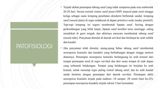 PATOFISIOLOGI
 Terjadi akibat penutupan tabung saraf yang tidak sempurna pada usia embrionik
26-28 hari. Secara normal sistem saraf pusat (SSP) muncul pada awal minggu
ketiga sebagai suatu lempeng penebalan ektoderm berbentuk sandal, lempeng
saraf (neural plate) di regio middorsal di depan primitive node (nodus primitif).
Tepi-tepi lempeng ini segera membentuk lipatan saraf. Seiring dengan
perkembangan yang lebih lanjut, lipatan saraf tersebut terus meninggi, saling
mendekati di garis tengah, dan akhirnya menyatu membentuk tabung saraf
(neural tube). Penyatuan dimulai di daerah servikal dan berlanjut ke arah sefalik
dan kaudal.
 Jika penyatuan telah dimulai, ujung-ujung bebas tabung saraf membentuk
neuroporus kranialis dan kaudalis yang berhubungan dengan rongga amnion
diatasnya. Penutupan neuroporus kranialis berlangsung ke arah kranial dari
tempat penutupan awal di regio servikal dan dari suatu tempat di otak depan
yang terbentuk belakangan. Tempat yang belakangan ini berjalan ke arah
kranial, untuk menutup regio paling rostral tabung saraf, dan ke arah kaudal
untuk bertemu dengan penutupan dari daerah servikal. Penutupan akhir
neuroporus kranialis terjadi pada stadium -18 sampai -20 somit (hari ke-25);
penutupan neuroporus kaudalis terjadi sekitar 2 hari kemudian.
 