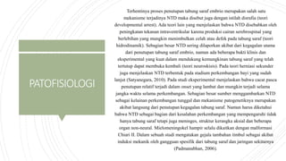PATOFISIOLOGI
Terhentinya proses penutupan tabung saraf embrio merupakan salah satu
mekanisme terjadinya NTD maka disebut juga dengan istilah disrafia (teori
developmental arrest). Ada teori lain yang menjelaskan bahwa NTD disebabkan oleh
peningkatan tekanan intraventrikular karena produksi cairan serebrospinal yang
berlebihan yang mungkin menimbulkan celah atau defek pada tabung saraf (teori
hidrodinamik). Sebagian besar NTD sering dilaporkan akibat dari kegagalan utama
dari penutupan tabung saraf embrio, namun ada beberapa bukti klinis dan
eksperimental yang kuat dalam mendukung kemungkinan tabung saraf yang telah
tertutup dapat membuka kembali (teori neuroskisis). Pada teori herniasi sekunder
juga menjelaskan NTD terbentuk pada stadium perkembangan bayi yang sudah
lanjut (Satyanegara, 2010). Pada studi eksperimental menjelaskan bahwa cacat pasca
penutupan relatif terjadi dalam onset yang lambat dan mungkin terjadi selama
jangka waktu selama perkembangan. Sebagian besar sumber menggambarkan NTD
sebagai kelainan perkembangan tunggal dan mekanisme patogenetiknya merupakan
akibat langsung dari penutupan kegagalan tabung saraf. Namun harus diketahui
bahwa NTD sebagai bagian dari kesalahan perkembangan yang mempengaruhi tidak
hanya tabung saraf tetapi juga meninges, struktur kerangka aksial dan beberapa
organ non-neural. Mielomeningokel hampir selalu dikaitkan dengan malformasi
Chiari II. Dalam sebuah studi mengatakan gejala tambahan timbul sebagai akibat
induksi mekanik oleh gangguan spesifik dari tabung saraf dan jaringan sekitarnya
(Padmanabhan, 2006).
 