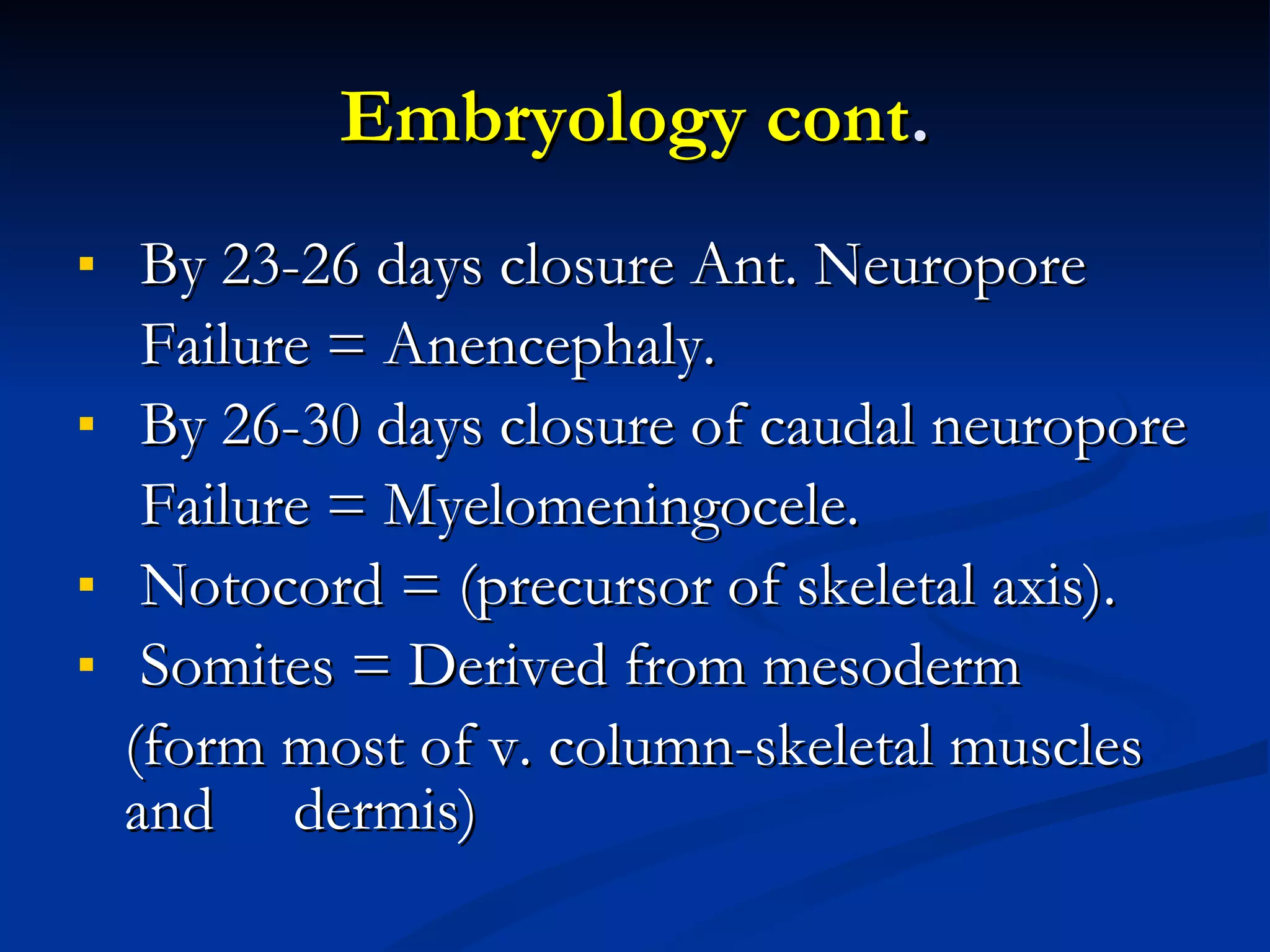 Embryology cont . By 23-26 days closure Ant. Neuropore  Failure = Anencephaly. By 26-30 days closure of caudal neuropore Failure = Myelomeningocele. Notocord = (precursor of skeletal axis). Somites = Derived from mesoderm (form most of v. column-skeletal muscles and  dermis) 