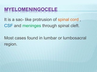 MYELOMENINGOCELE
It is a sac- like protrusion of spinal cord ,
CSF and meninges through spinal cleft.
Most cases found in lumbar or lumbosacral
region.
 