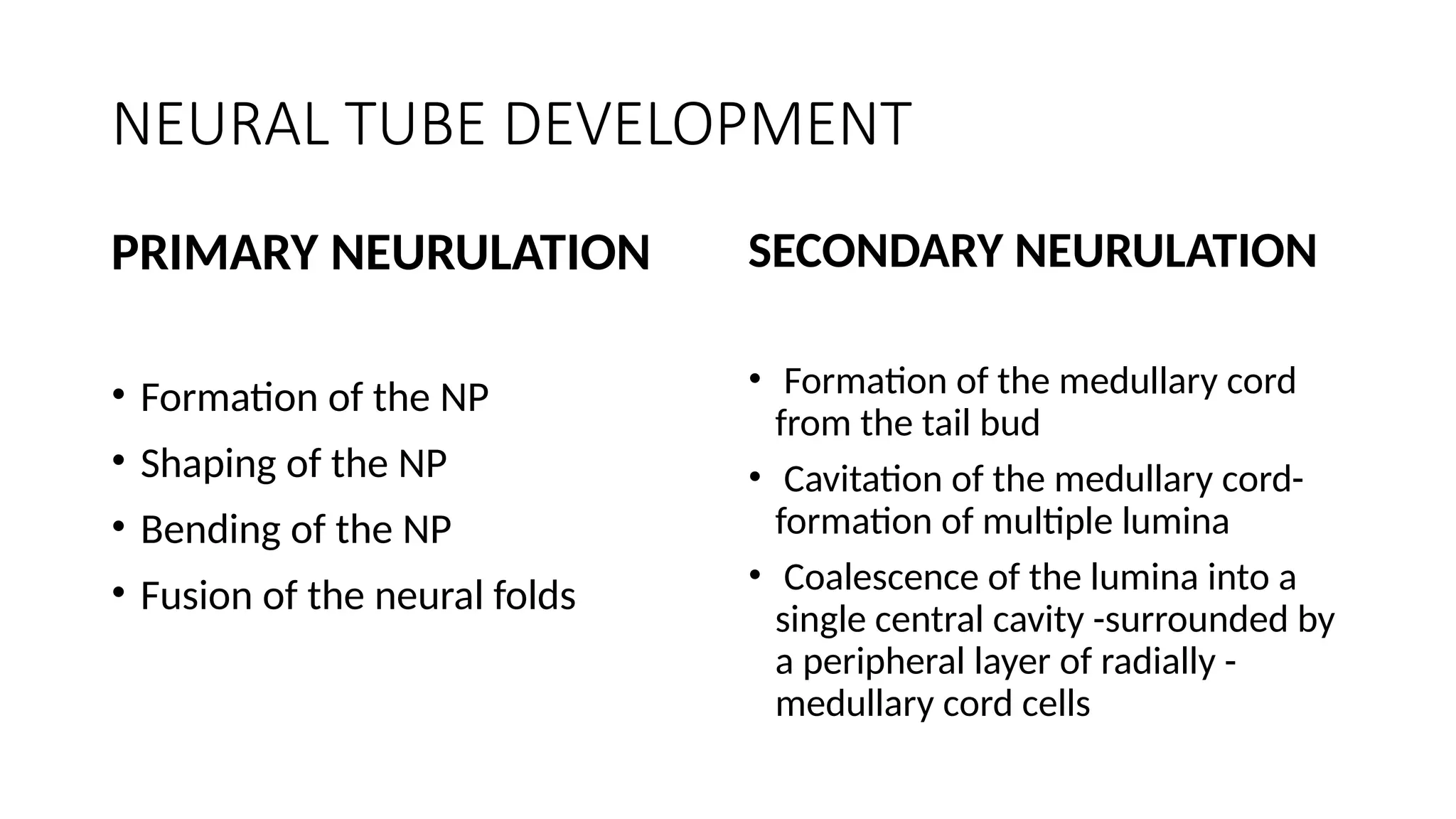 Neural Tube Defects in children - paediatric surgery | PPT